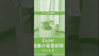 エクセルで画像背景削除猫excel エクセルpc初心者office転職パソコン使えるようになりたい猫が解説 [upl. by Minardi617]