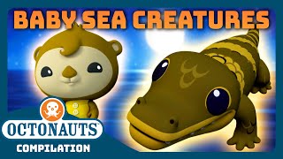 Octonauts  🦦 Cutest Baby Sea Creatures 🐬  2 Hours Full Episodes Marathon  Explore the Ocean [upl. by Nnyleuqcaj]