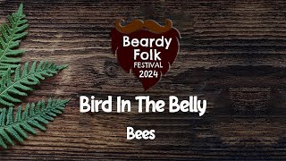 Bird In The Belly  Bees Live At Beardy Folk Festival 2024 [upl. by Forrester]