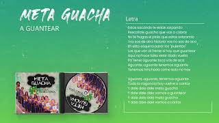 Meta Guacha  A Guantear │ Cd Locura Transitoria [upl. by Wileen]