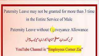 MATERNITY amp PATERNITY LEAVE ACT 2023  Implementation of Such Leave  Employees Corner Zia [upl. by Lednek8]