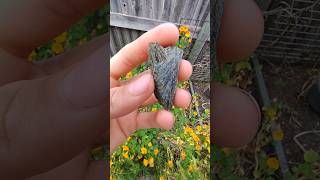 Beautiful epidote cluster thefinders gemstone [upl. by Yoc]