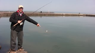 Boatless Angler Shore Fishing Casting Techniques [upl. by Jewelle714]