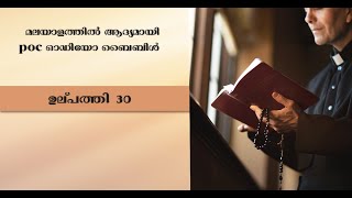 MALAYALAM AUDIO BIBLE  GENESIS 30  1  43  shots devotional [upl. by Hodess]