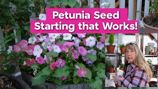 Petunia Seed Starting that Works [upl. by Vergil]