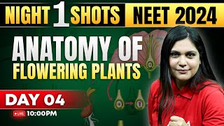 Anatomy of Flowering Plants Class 11 One Shot  NEET 2024  Garima Goel [upl. by Delp]