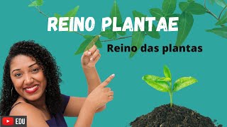 Aula Reino das Plantas Plantae [upl. by Patt162]