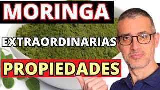 Los EXTRAORDINARIOS BENEFICIOS de la MORINGA Para qué sirve la MORINGA y cómo se toma [upl. by Oranneg]