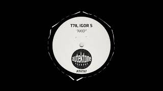 T78 amp Igor S  Axid Original Mix [upl. by Dronski]