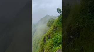 Explore 🏕️  Hridayam  Song  travel status trending nature travel love viralvideo munnar [upl. by Dira]