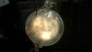 Underwater Explosions at 120000fps  The Slow Mo Guys [upl. by Nilrah138]