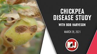 Chickpea Disease Study  Bob Harveson  March 26 2021 [upl. by Idrahs]