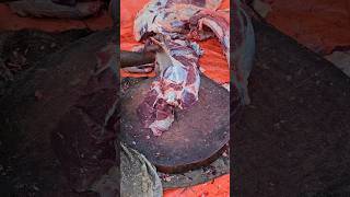 Real red ox thigh meat amp bone cutting skill by expert butcher in bd meat shop [upl. by Linc226]