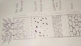 soil profile diagram। Layers of soil profile। How to draw soil profile step by step। [upl. by Jutta]