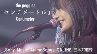 the peggies「センチメートル」Sony Music AnimeSongs ONLINE武道館 [upl. by Shoshanna218]