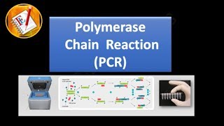 Basic Concepts 01  Polymerase Chain Reaction PCR [upl. by Enniroc333]