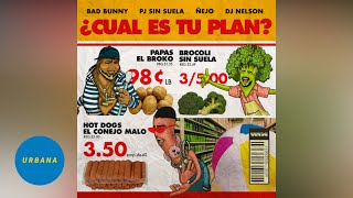 Bad Bunny  ¿Cual Es Tu Plan ft Ñejo Pj Sin Suela Visualizer [upl. by Acsicnarf136]