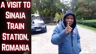 Dr Charles Apoki at Sinaia Train Station Romania  Its So Cold Here [upl. by Prober]