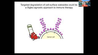 Carolyn Bertozzi Therapeutic Opportunities in Glycoscience [upl. by Yadrahc]