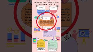 LINEAMIENTOS PARA LA ORGANIZACIÓN Y FUNCIONAMIENTO DE CTE [upl. by Oiramaj]