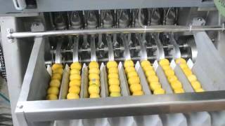 Industrial Freshly Squeezed Lemon Fruit Juice Machine [upl. by Eliza]