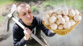 CULTIVER DES CHAMPIGNONS  Dans la nature [upl. by Duvall]