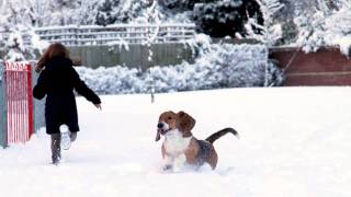 Heavy Snow in Barnstaple North Devon [upl. by Etiuqram]