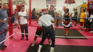 Boxing  Amateur vs Professional Sparring [upl. by Roht]