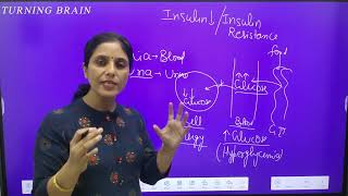 Pathophysiology of Diabetes Mellitus [upl. by Warring722]