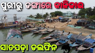 ଚିଲିକା ସାତପଡା ଡଲଫିନ  Puri To Chilika  Part 01 [upl. by Aehs]