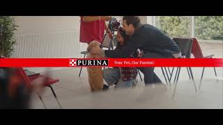 Purina Cares About Pet Adoption [upl. by Marienthal577]