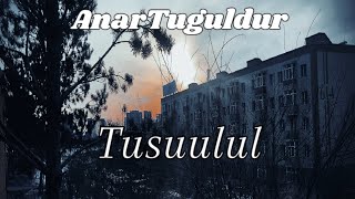 AnarTuguldur  Tusuulul  Official Music Video [upl. by Annaehs825]