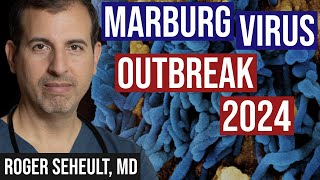 Marburg Outbreak 2024 Info and Vaccine Trial [upl. by Gairc]