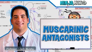 Autonomic Pharmacology  Muscarinic Antagonists [upl. by Valtin]