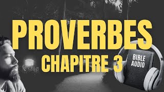 PROVERBE 3  LA BIBLE AUDIO avec textes [upl. by Otrepur]