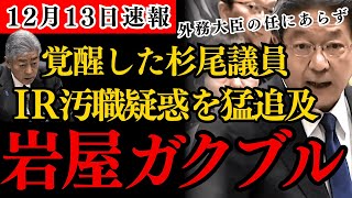 【最新国会】岩屋毅外務大臣のIR汚職疑惑を杉尾秀哉議員が徹底追及！米国・司法省の捜査対象者が外務大臣だと？岩屋さんよ、あなたは外務大臣の任にあらず【国会中継】【政治のウラ側】 [upl. by Llenroc]