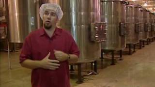 The Making of NielsenMassey Vanilla Extract [upl. by Pedroza]