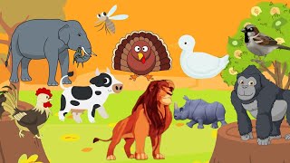 Animal Sounds Song 2  Funtobelearn animalsounds animalsong preschool [upl. by Fraser686]