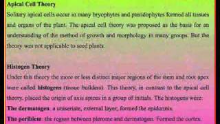 Meristematic tissues [upl. by Buckingham]