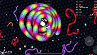 Slitherio AI 103000 Score Epic Slitherio Gameplay 243 [upl. by Mccully569]