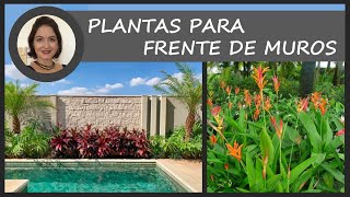 Plantas para frente de muros  Valéria Medina [upl. by Woods]