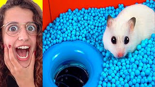 🐹 Hamster ATRAPADO en LABERINTO de 100 NIVELES creado por Humanos Historia de un pequeño animal 2 [upl. by Secilu]