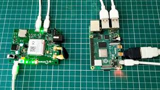 Accessing Internet Jio sim in SIM7600EI 4G GSM Modem V20 with Raspberry pi using QMI Interface [upl. by Reichert]