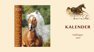 Haflinger Kalender 2024 [upl. by Hiasi576]