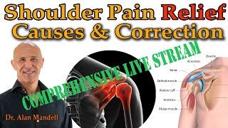 Shoulder Pain Relief Comprehensive Causes Correction amp Home Exercises  Dr Mandell [upl. by Itagaki]