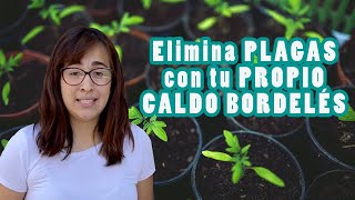 HAZ TU PROPIO CALDO BORDELÉS Elimina las plagas de tu jardín🐜 [upl. by Eenyaj]