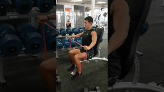 Seated Lateral Raises with Resistance band [upl. by Aig457]