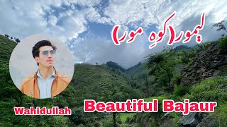 Beautiful Bajaur  KohiMor Bajaur  Explore Bajaur  Tourism Pakistan tourisminpakistan [upl. by Meyeroff]