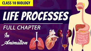 life processes class 10 science biology Animated video  10th CBSE  ncert science  Chapter 6 [upl. by Ronna220]