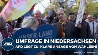 NIEDERSACHSEN Umfrage vor Landtagswahl AfD legt zu  klare Ansage von Wählern [upl. by Michi668]